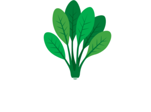 CleanGreensPk